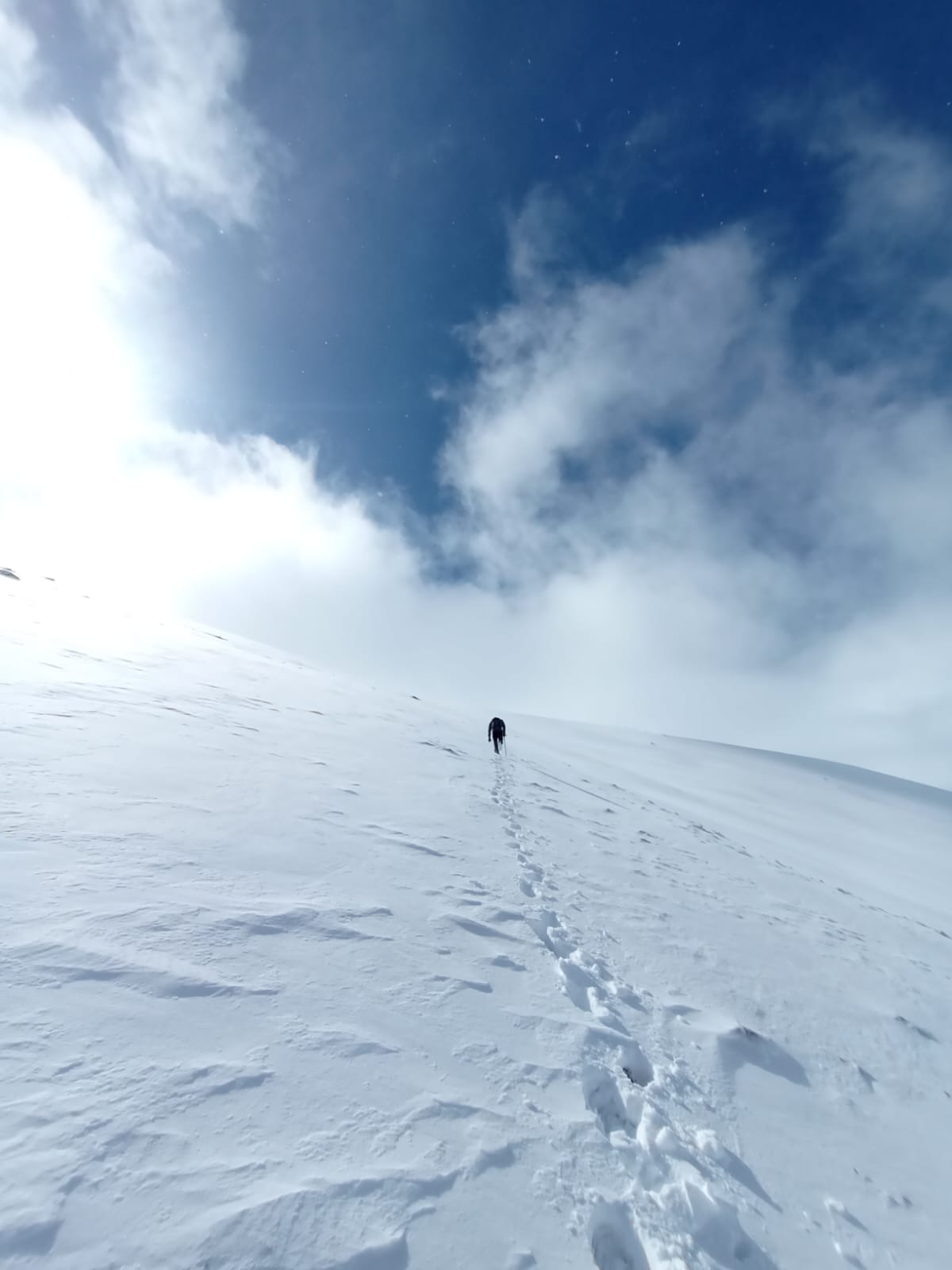Fotografía sección Llamaellos